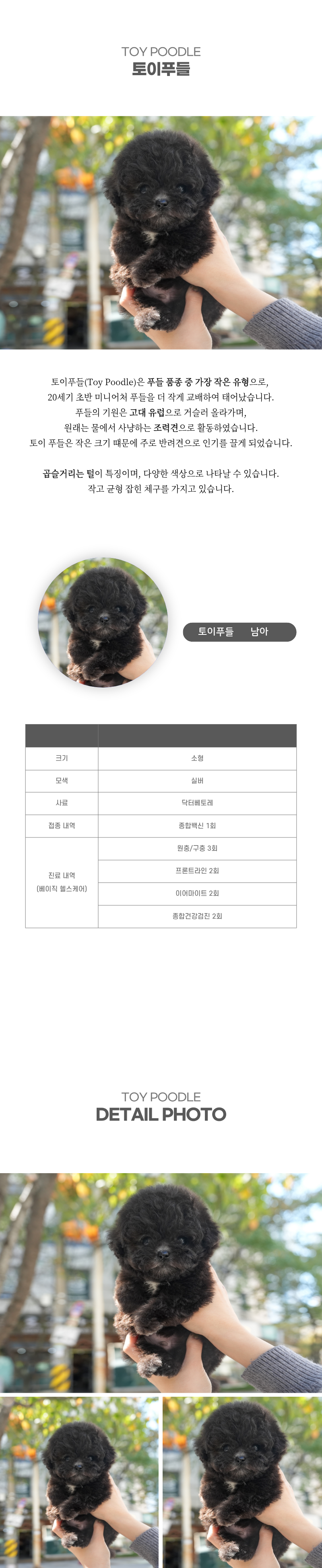 토이푸들_상세이미지_2